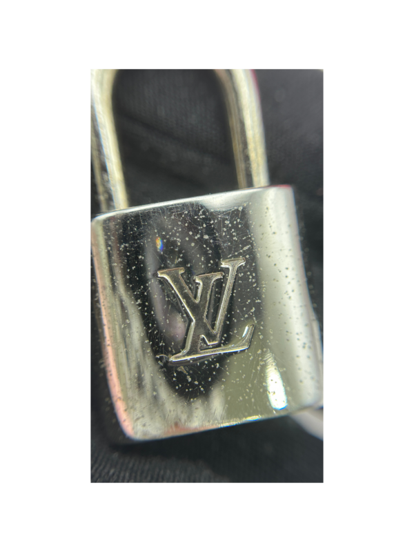 LV ALMA PM - Image 16