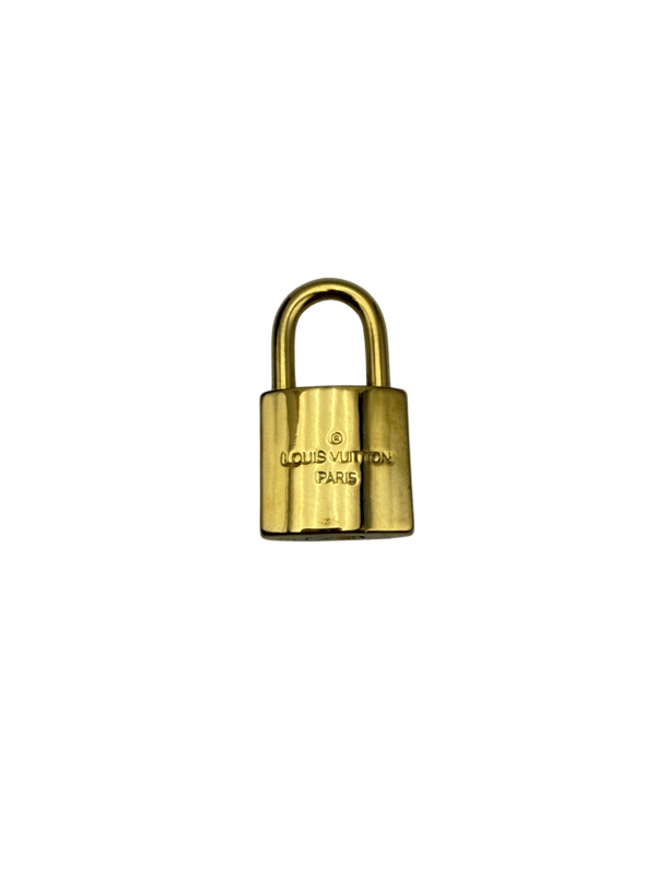 LV VANITY PM MONOGRAM - Image 21