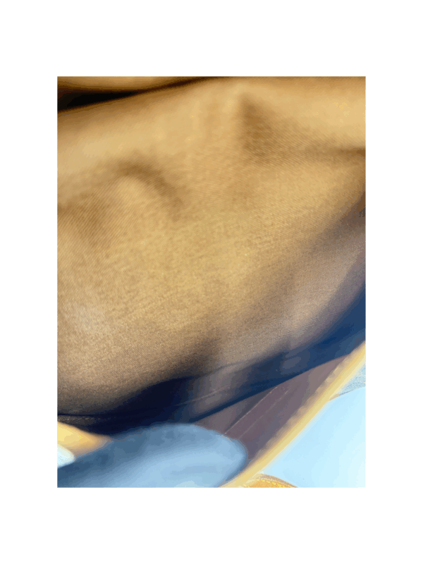 LV SAUMUR PM MONOGRAM - Image 26
