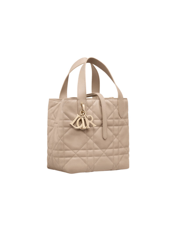 DIOR SMALL TOUJOURS VERTICAL TOTE BAG