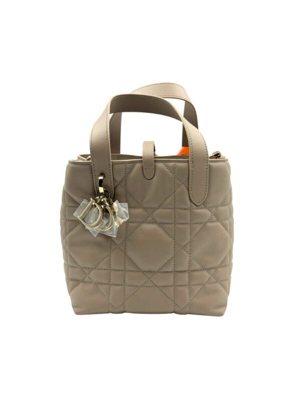 DIOR SMALL TOUJOURS VERTICAL TOTE BAG