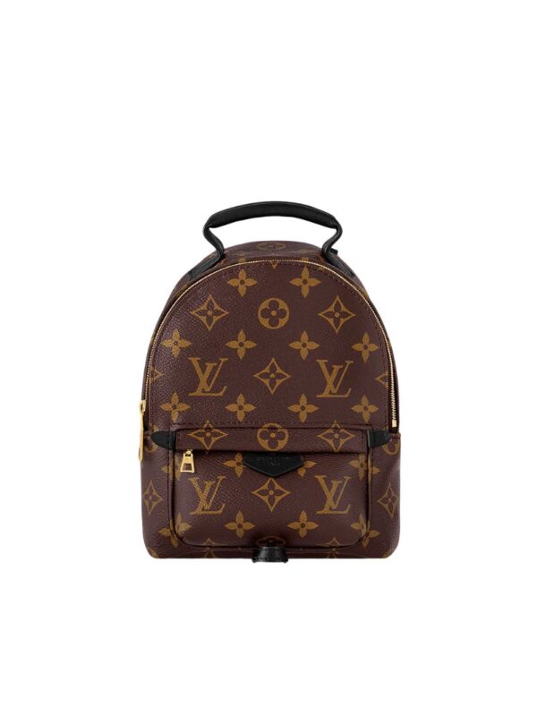 LV MINI PALM SPRING BACKPACK